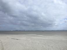 nature landscapes texel hors beachscape beach sand ferry horizon denhelder footsteps seascape cloudscape clous