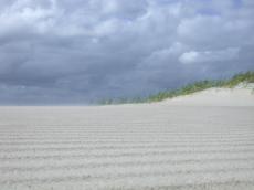 nature  landscapes  beachscapes  dunescapes  sand  dune  dunes  sky  clouds  sandstorm
