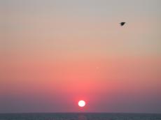sunrise sunset dusk dawn nature landscapes sun seascapes horizon sea gull orange pink sky gradient