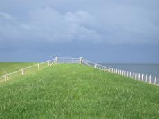 dike seashore sea defense water dutch green grass grwowing flow fence sky green blue