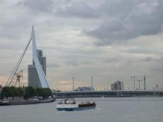 rotterdam bridge swan zwaan maas river boats hanging