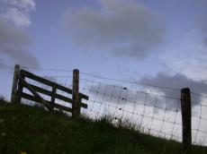barbwire barb wire barb-wire barbed fence field gate silhouette dark outline posts evening