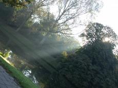 nature landscapes pond trees ray lightray lightrays lightfx lighteffects sunbeam sunbeams sun light lit