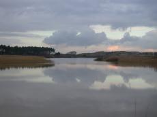 nature landscapes dunescapes waterleidingduinen lake pond reflection reflections trees