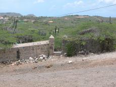 jacco curacao fence wall nature landscapes succulent cactus hills