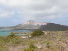jacco tropical island bushes bracken harbor sea hills