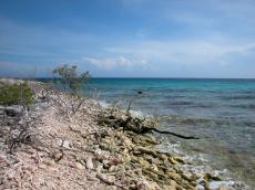 nature landscapes beachscape beach ocean jacco curacao