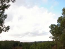 hill hills fern dunes vista view green rolling
