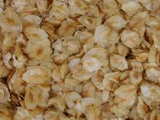 leaves leaf dry dried autumn fallen ground dense foliage