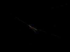 nature plants reet grass black line