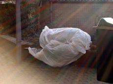 tree pinetreechristmass tree bench plastic