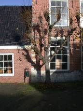 tree house shadow sun windows