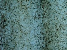 bertoltzalm texture polyester scratchmarks scratch scratches lines lightfx lighteffects fibre fibres
