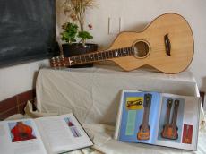 instruments guitar objects music display