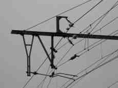 paul objects electricity train trains birds piqeon pigeons wire wires