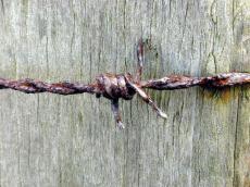 barbwire wire metal rust rusted wood