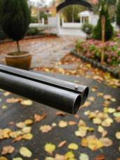 tabus gun barrel stell gate leafs tabus gun barrel stell gate leafs