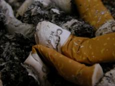 objects sigarette sigarettes nicotine ash ashes butt smoke stub stubs smokes butts