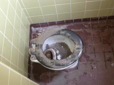 old broken down toilet watercloset loo seat brown dust