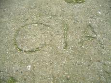 maartent scripts textures concrete grounds cia writing