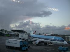 klm passenger plane terminal blue airport