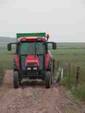 small little tractor farm farming farmer vehicle land