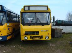 maartent daf logo bus busses vehicles land front yellow