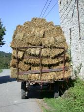 hay stack stacks haystack haystacks cart laden brown