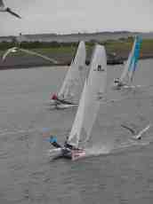 vehicles water nacra catamaran ronde om texel rondjetexel rondeomtexel sailing race 't horntje gulls flying