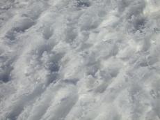 ice snow crisp floor blanket white track tracks groove grooves