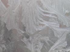 nature elements ice flowers iceflowers frost frozen winter