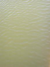 water ripples waves brown