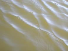 elements water waves textures green