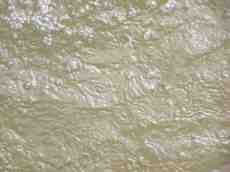 bubbles water ocean sea waves ripples