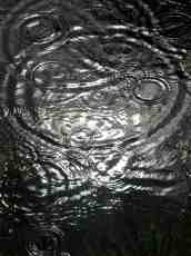 nature elements water texture rain blackrain raining droplets
