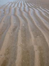elements beach sand waves ripples rippled