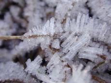 ice christals white snow on twik cold frost