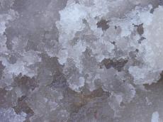 ice frost freeze forzen snow cold melting grey white crips