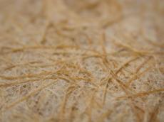 fabrics polyester macro beige