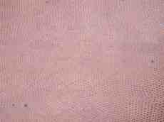 fabrics texture leather snakeleather red pattern