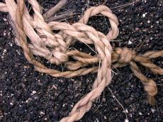 rope wet cord entwined 