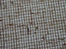 grid wire cloth thread threads lines woven twined intertwined