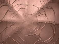 cracked surace paper