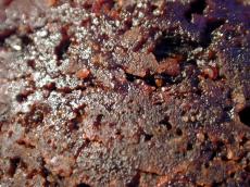 plum skin overripe over-ripe fruit brown