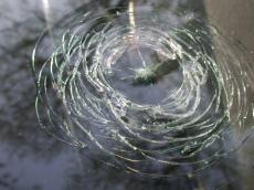glass broken flower cracked texture