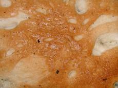 rooten food project cake fungus goo ieuw ieuwl spongy