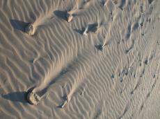 sand dune tracks blowing wind pebbles waves curves