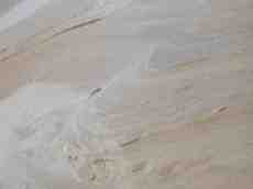 desert sand dune