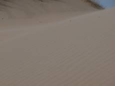 sand dunes shore coast