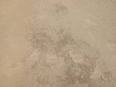 sand foot print beach